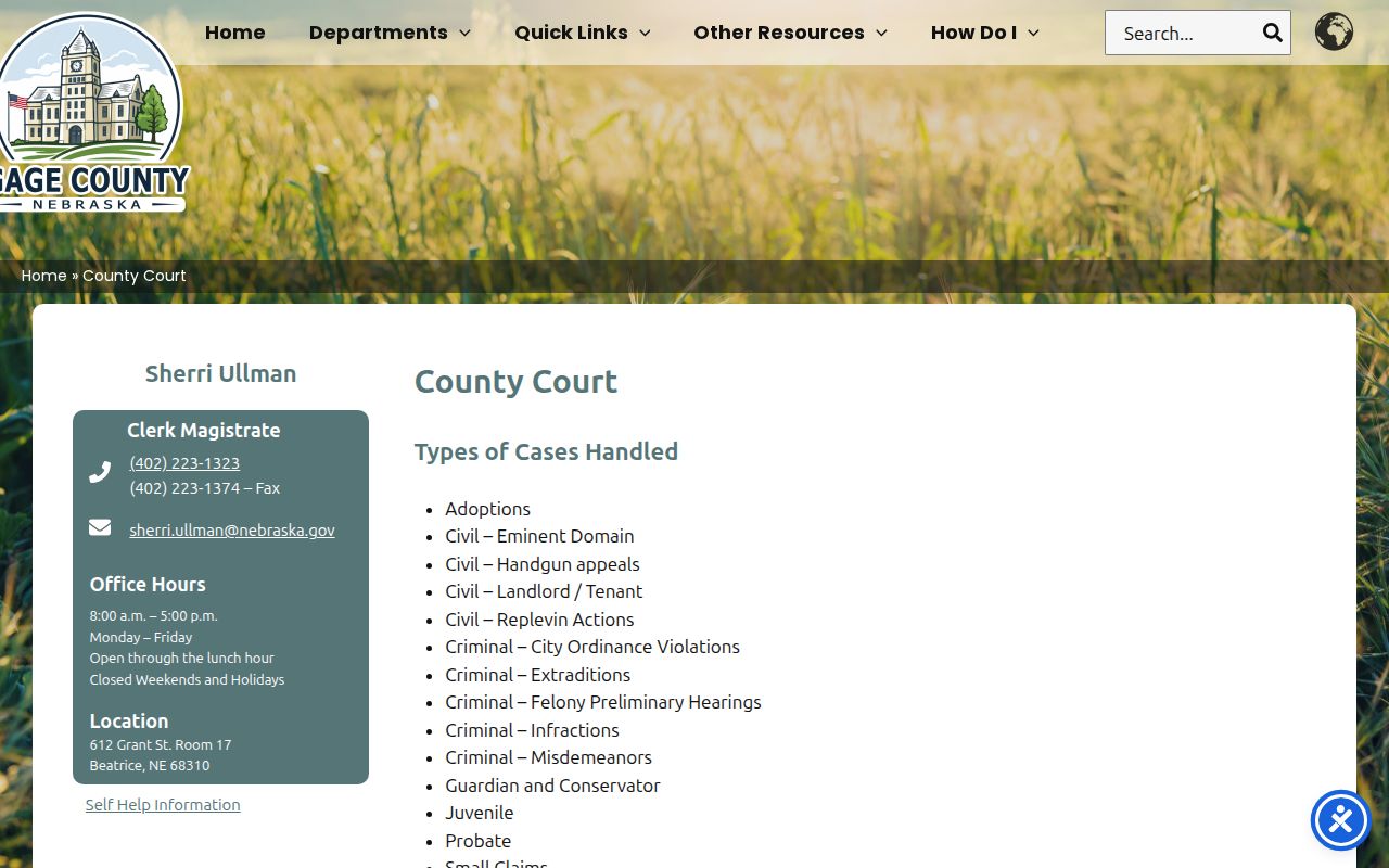 Gage County criminal court case information on the County Court page